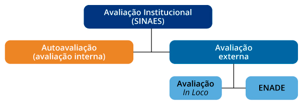 grafico avaliacao